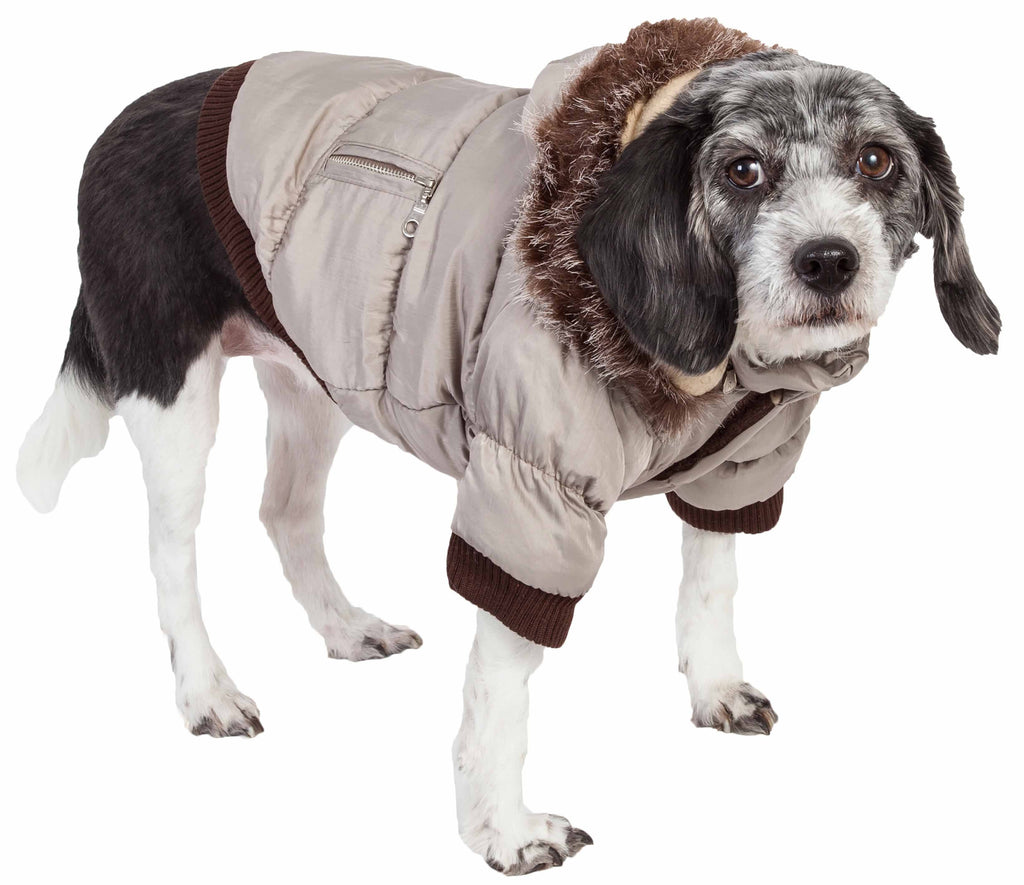 Pet Life ® Classic Metallic Fashion 3M Insulated Dog Coat Parka  w/ Removable Hood